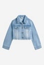 Cropped Denim Jacket