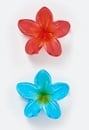 2-Pack Giada Ibiscus Hair Claws